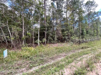 3089 Veronica Ave, Middleburg, FL 32068