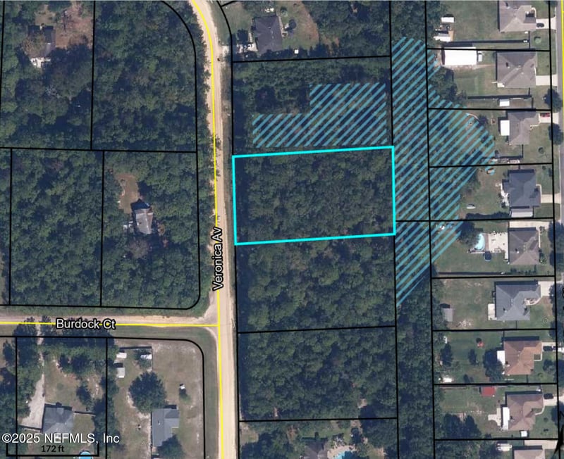 3089 Veronica Ave, Middleburg, FL 32068