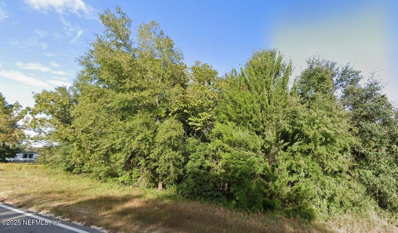 404 Lakeview Trl, Interlachen, FL 32148