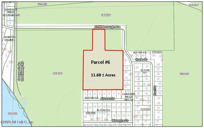 PARCEL 6 Hillsborough Ave, Florahome, FL 32140