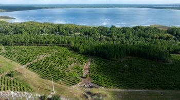 LOT 7 County Road 225, Starke, FL 32091