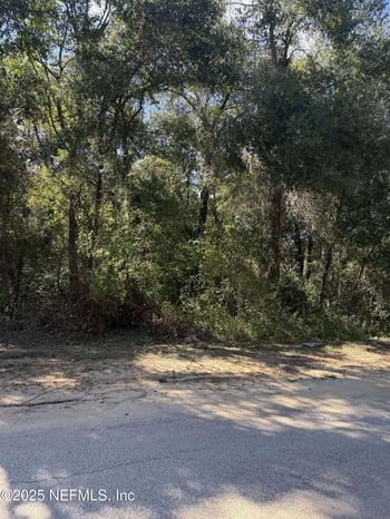 Dickens St, Interlachen, FL 32148