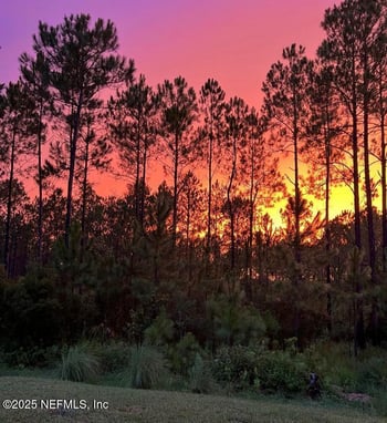 45 Oban Ct, St Johns, FL 32259