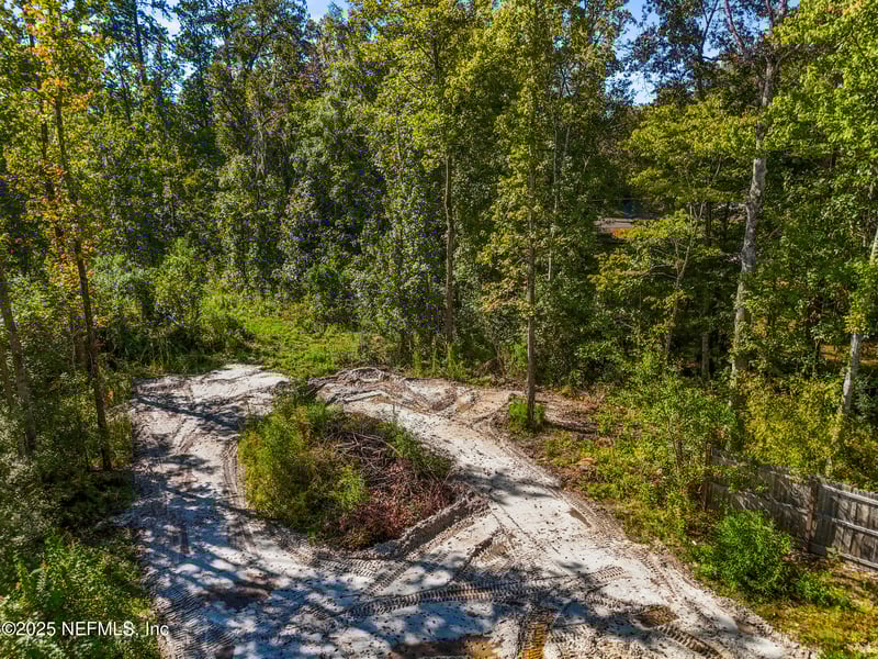 00 Black Creek Dr, Middleburg, FL 32068