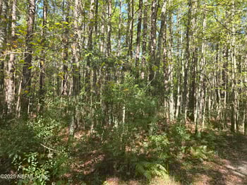 4122 Becky St, Middleburg, FL 32068