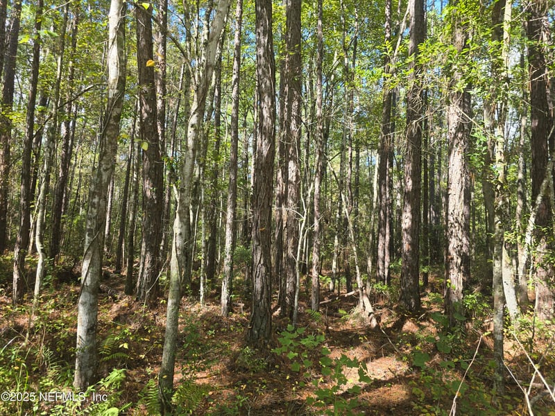 4122 Becky St, Middleburg, FL 32068