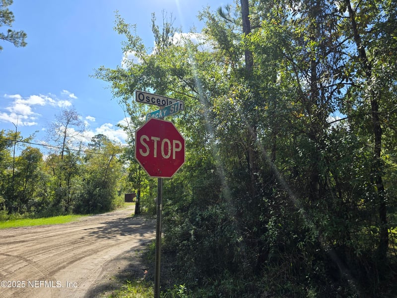 4122 Becky St, Middleburg, FL 32068