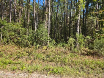 Mclaurin Rd, Jacksonville, FL 32256