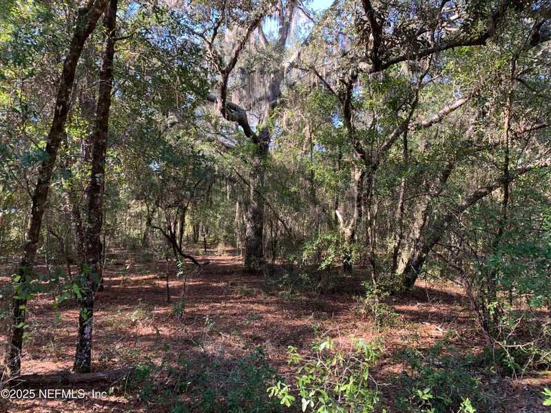 000 Drayton Ave, Interlachen, FL 32148