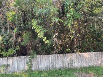 3159 Dothan Rd, Green Cove Springs, FL 32043