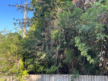 3159 Dothan Rd, Green Cove Springs, FL 32043