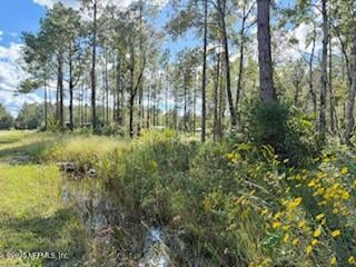 10715 Yeager Ave, Hastings, FL 32145