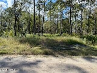 10715 Yeager Ave, Hastings, FL 32145