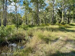 10715 Yeager Ave, Hastings, FL 32145