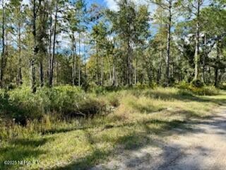 10715 Yeager Ave, Hastings, FL 32145