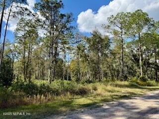 10715 Yeager Ave, Hastings, FL 32145