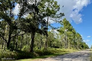 10715 Yeager Ave, Hastings, FL 32145