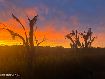 2959 Marsh Elder Dr, Jacksonville, FL 32226