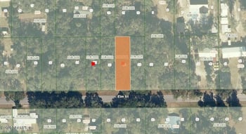 1020 Elm St, Welaka, FL 32193