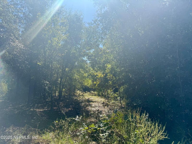 00 County Rd 315, Interlachen, FL 32148