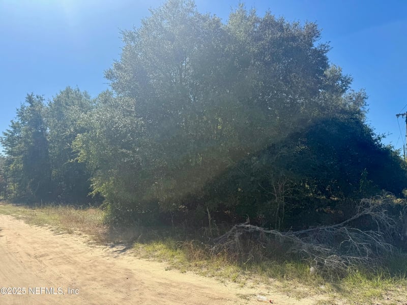 00 County Rd 315, Interlachen, FL 32148