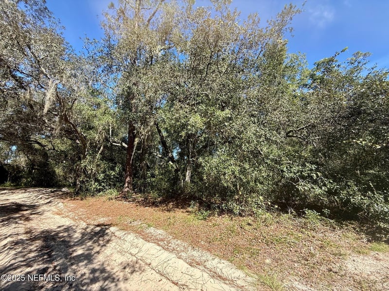 000 S County Road 315, Interlachen, FL 32148