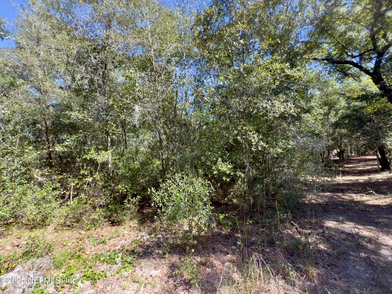 000 S County Road 315, Interlachen, FL 32148