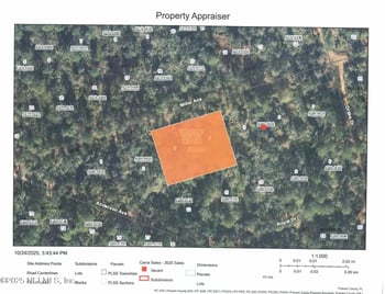 207 Miller Ave, Crescent City, FL 32112