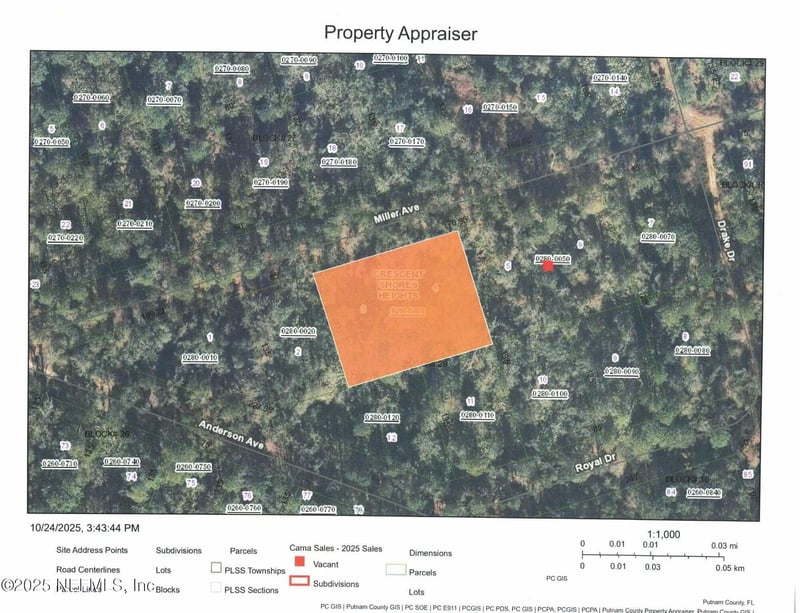 207 Miller Ave, Crescent City, FL 32112