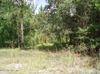 3381 3rd St, Elkton, FL 32033