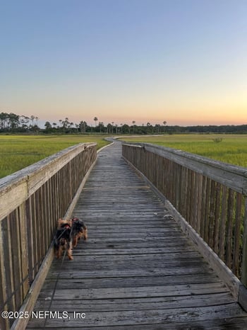 333 Stokes Creek Dr, St Augustine, FL 32095