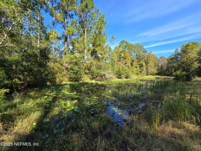 3163 Lannie Rd, Jacksonville, FL 32218