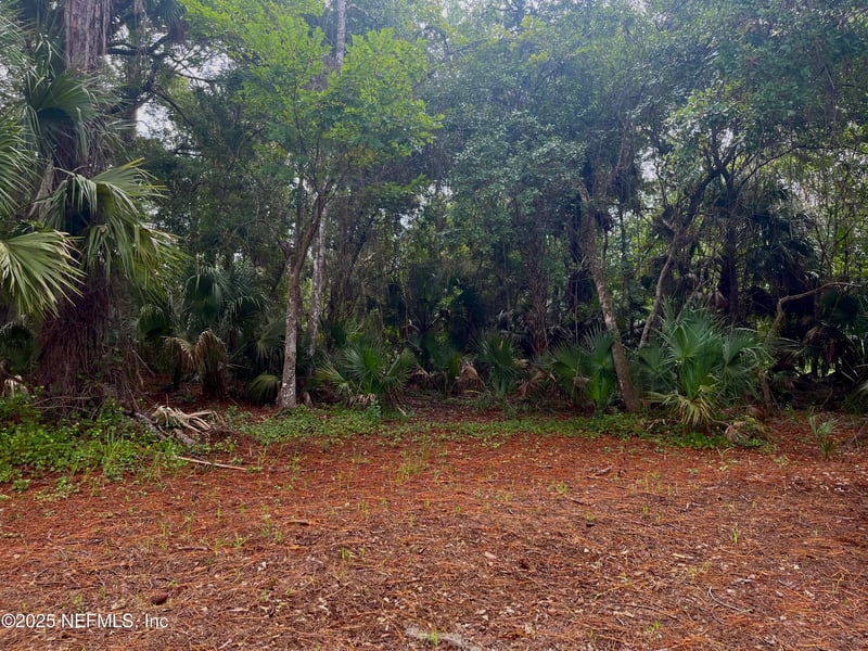 118 July Ave, Georgetown, FL 32139