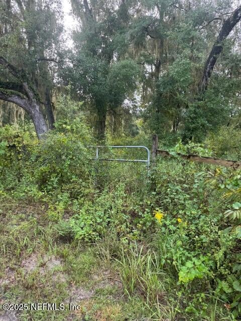 104 Floradandy Rd, Hawthorne, FL 32640