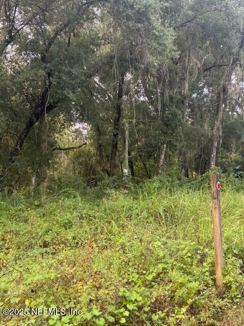 104 Floradandy Rd, Hawthorne, FL 32640