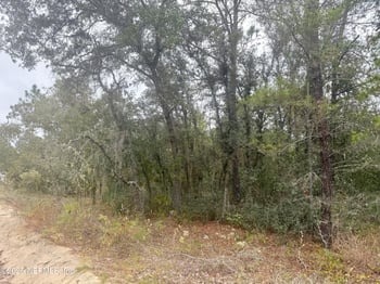 118 Geneve St, Interlachen, FL 32148