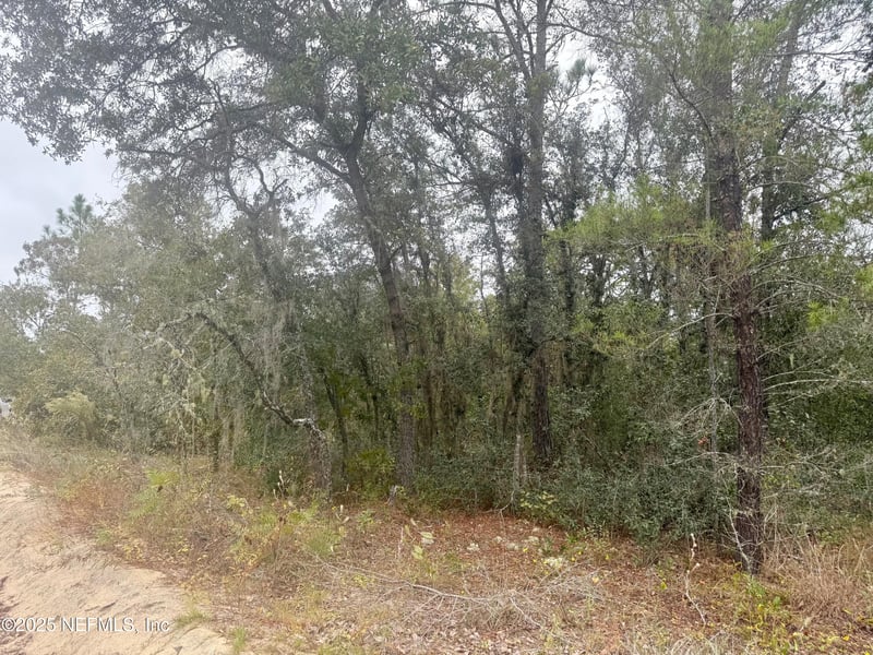 118 Geneve St, Interlachen, FL 32148