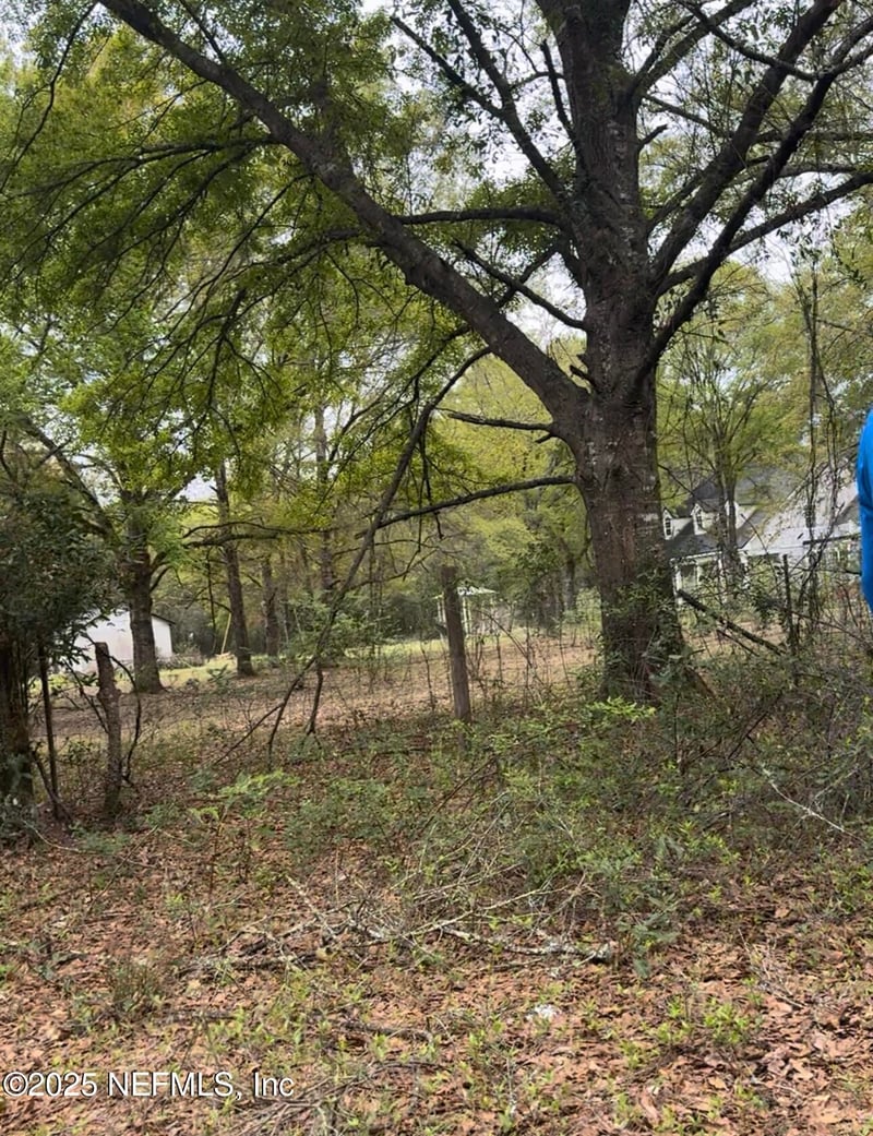 0 Polka Rd, Clay Hill, FL 32234