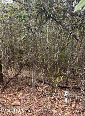 0 Polka Rd, Clay Hill, FL 32234