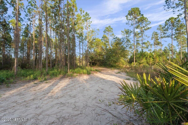 TBD Jerry Holland Rd, Sanderson, FL 32087