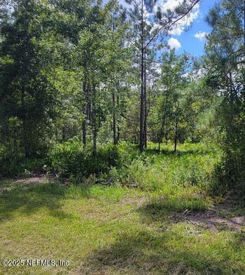 4329 Bondarenko Rd, Keystone Heights, FL 32656