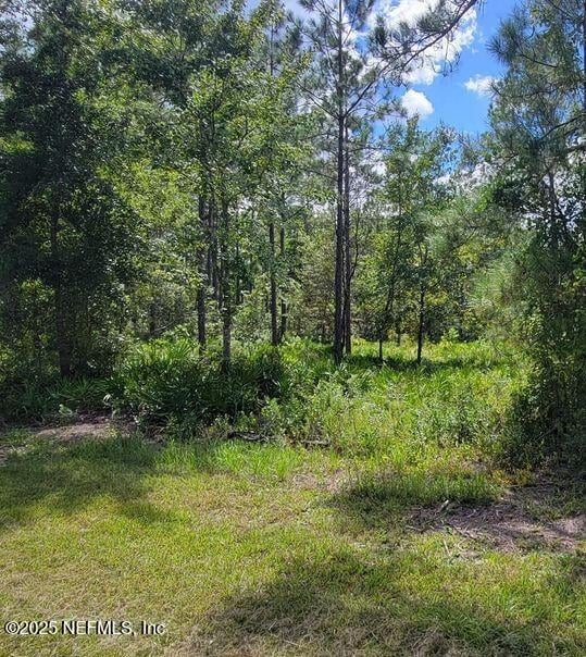 4329 Bondarenko Rd, Keystone Heights, FL 32656