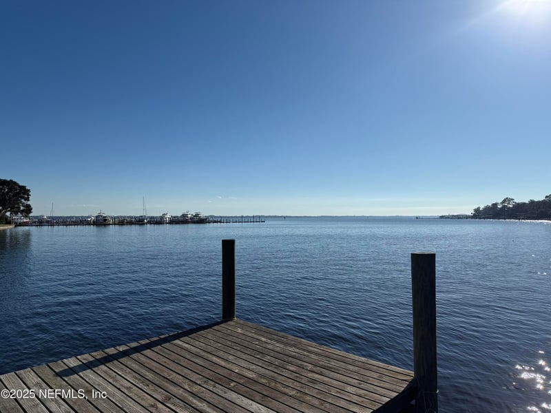 4233 Venetia Blvd, Jacksonville, FL 32210