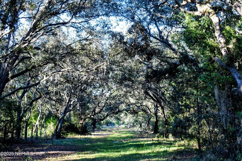 96 Bridle Dr, Interlachen, FL 32148