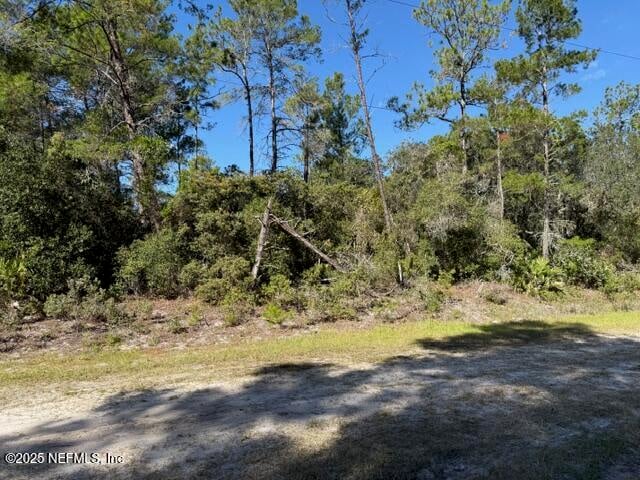 113 Ocala Dr, Georgetown, FL 32139