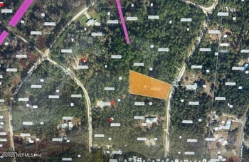 113 Ocala Dr, Georgetown, FL 32139