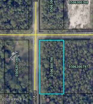 4375 Nancy St, Hastings, FL 32145