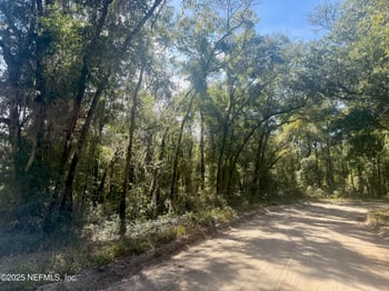 XXX Evans Ave, Interlachen, FL 32148