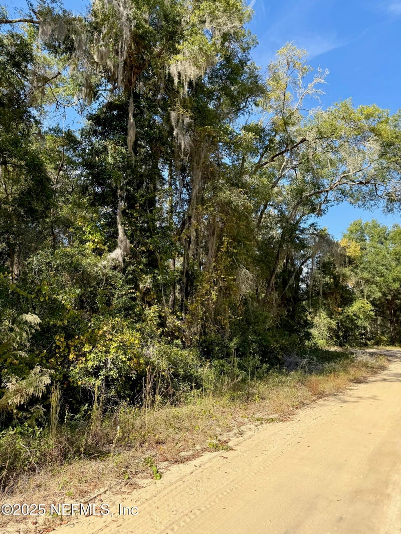 XXX Evans Ave, Interlachen, FL 32148