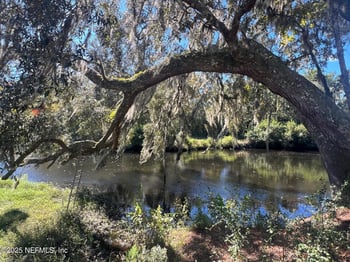 4299 Hawk Haven Rd, Middleburg, FL 32068